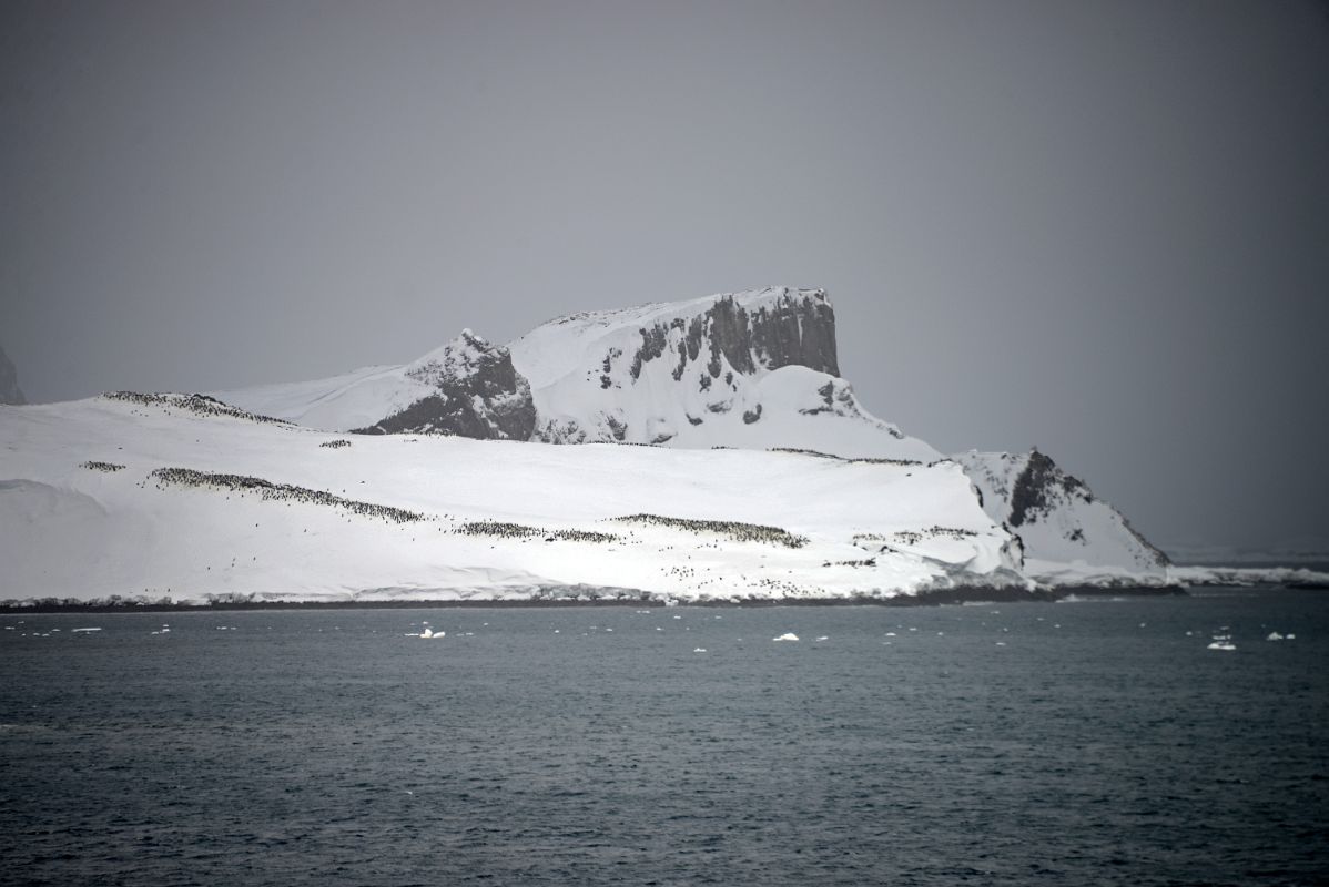 02 Our First View Of Penguin Colonies On Aitcho Barrientos Island In South Shetland Islands From Quark Expeditions Antarctica Cruise Ship